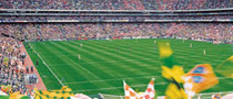 Packed Football Stadium