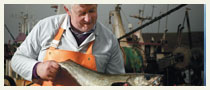 P27877-SV-Sunday-Life-Keohane's-310x540-DPS-BG