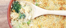 Creamy Turkey Bake with a Herb Crust Topping
