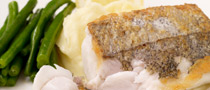 Fish Recipes Fish Recipes