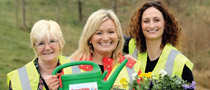 SuperValu TidyTowns 2014 Entry Form SuperValu TidyTowns 2014 Entry Form