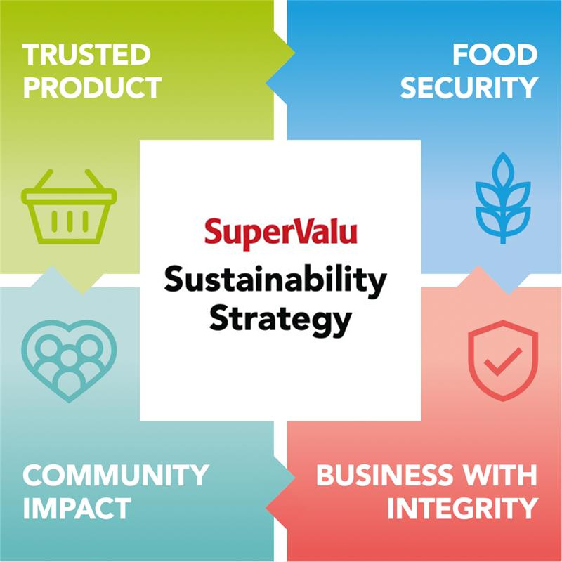 Sustainability Strategy Image