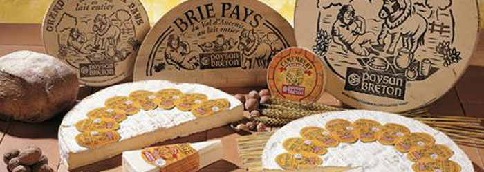 Brie de Pays Mature 52%