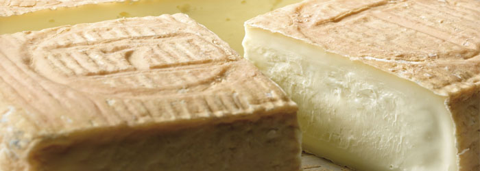 Taleggio