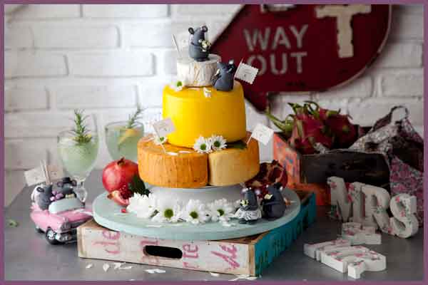 Fun Cheese Cake