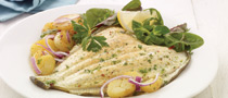 Mediterranean Style Plaice