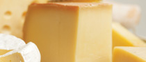 Gouda