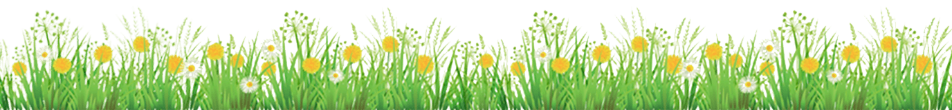 Grass