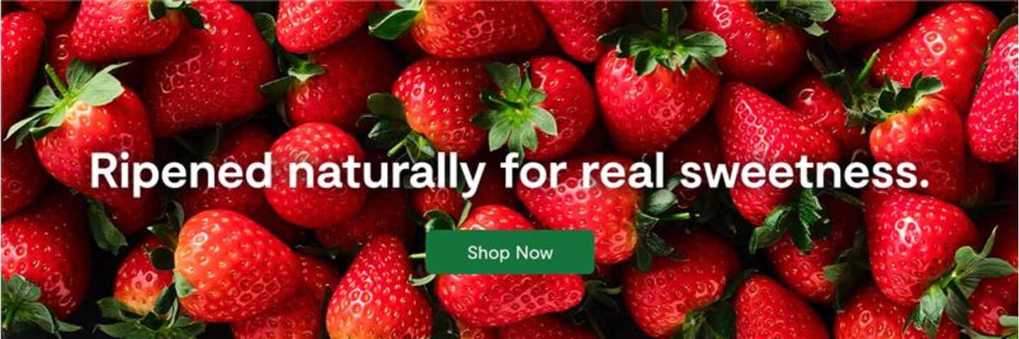 SV TDIR Berries Website Header 1440x480