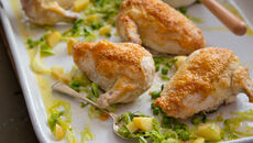 Parmesan chicken recipe