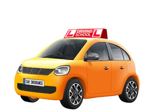 Young Driver Learner Car 2