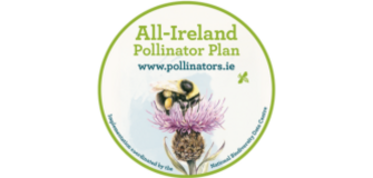 All Ireland Pollinator Plan