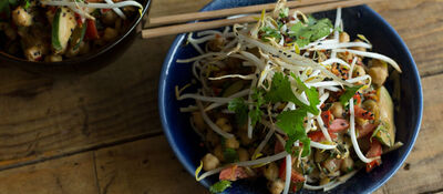 10 Minute Indonesian Satay