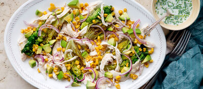 Shredded chicken salad recipe