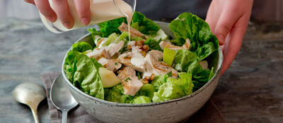 Turkey waldorf salad