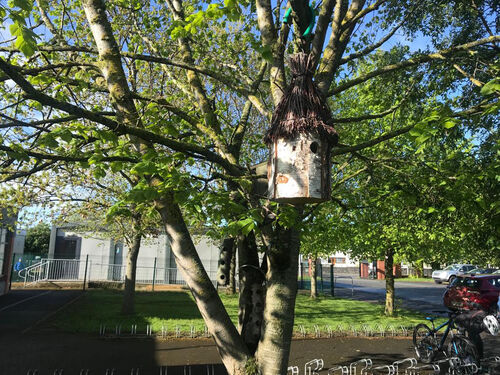 SuperValu TidyTowns Bee Hotel Pollination