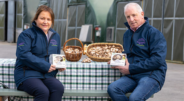 Garryhinch Wood Exotic Mushrooms