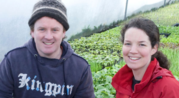 Beechlawn Organic Farm