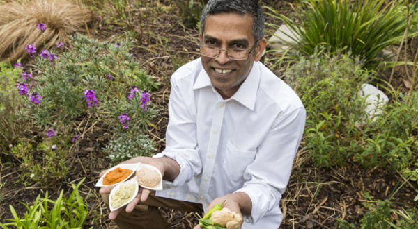 Ravi's Gourmet Dips