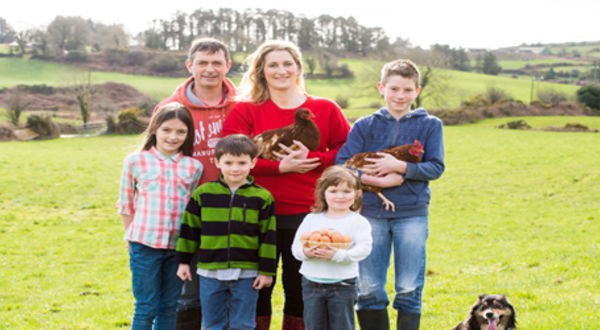 West Cork Eggs
