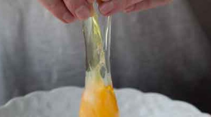 SalmonEggMain
