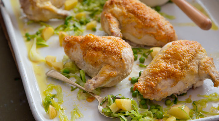 Parmesan chicken recipe
