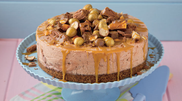 Chocolate Ice-Cream Cake