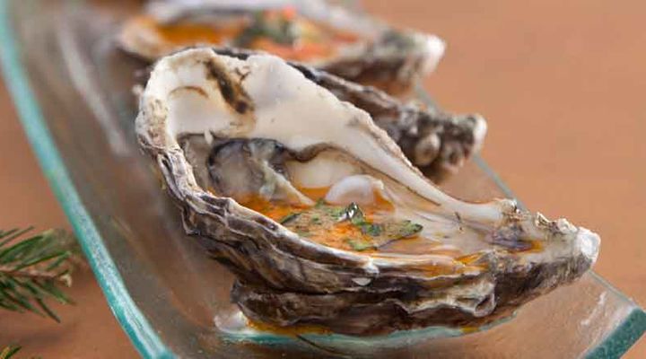 Oysters