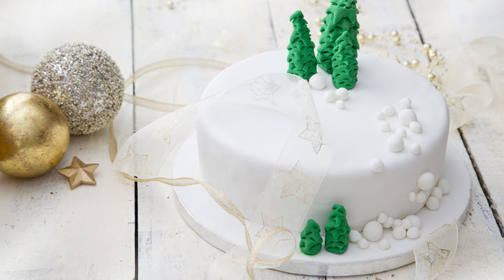 Sharon Traditional Christmas cake U52B7723 1