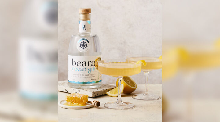 Bees knees cocktail