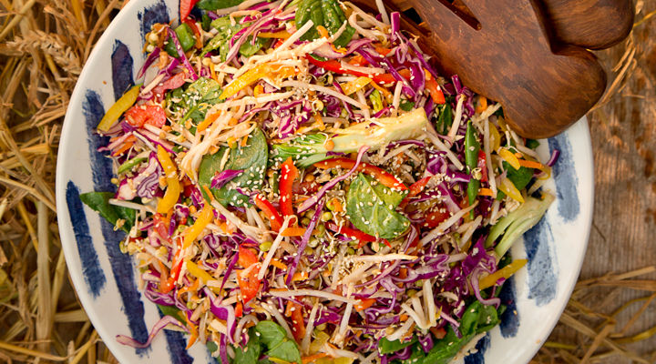 Hapy pear asian style autumn slaw