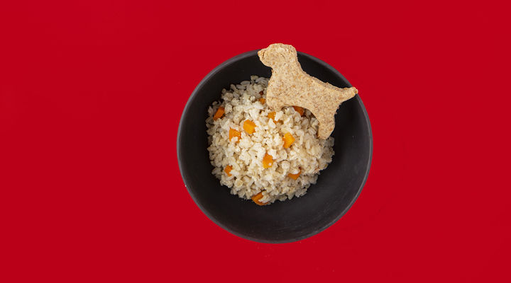 SuperValu Fresh 2019 Poochs Xmas Mix