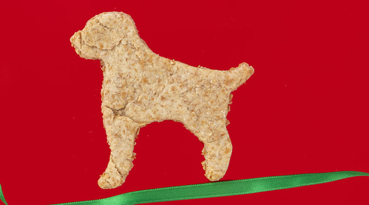 SuperValu Fresh 2019 Tasty Dog Treats