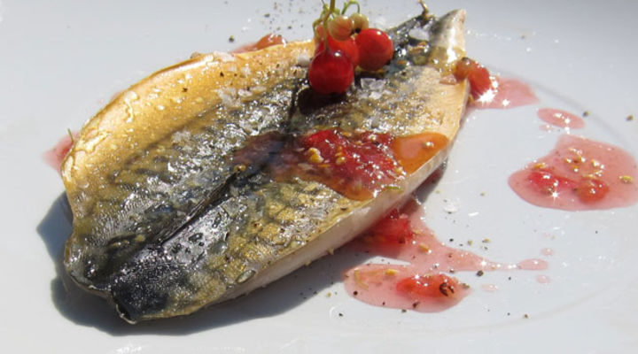 Smoked Mackerel with Redcurrant Sauce