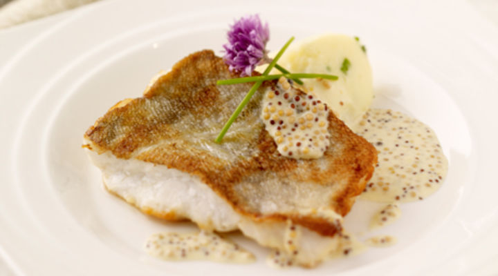 Pan Fried Cod, with Chives Mash and Wholegrain Mustard Sauce