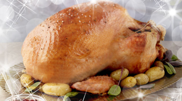 Kevin’s Christmas Turkey