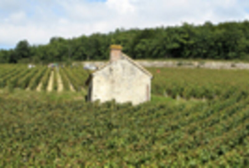Burgundy Heritage