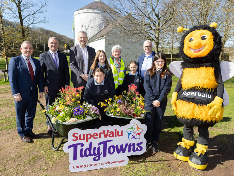 SV Tidy Towns Mobile 800x600