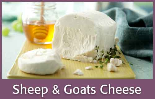 Sheep & Goats Cheese