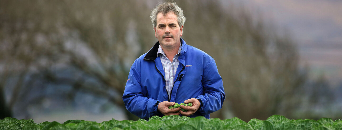 SuperValu Agrees Financial Supports For Irish Vegetable Growers To Ease Drought Crisis