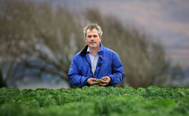 SuperValu Agrees Financial Supports For Irish Vegetable Growers To Ease Drought Crisis